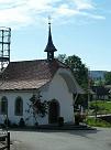 P1040176 (Medium)